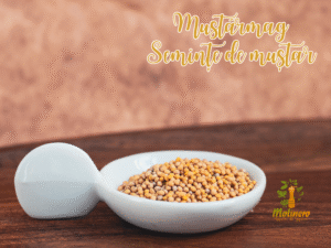 Seminte mustar