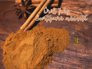 Scorțișoară măcinată