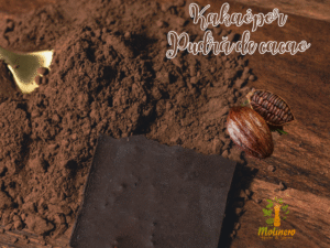 Pudră de cacao