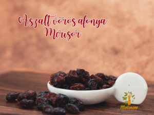 Aszalt vörös áfonya