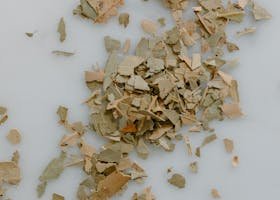 Close-up of dried herbal leaves scattered on a white surface, ideal for natural remedy themes.
